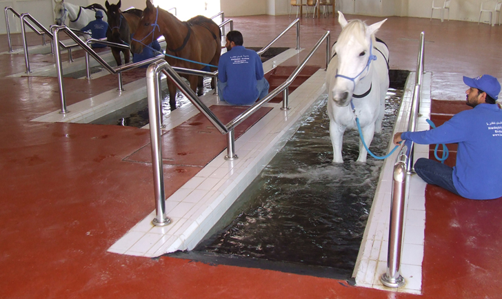 Khail Spa Horse Spa